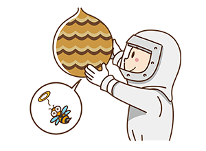 ハチの巣駆除のイメージ