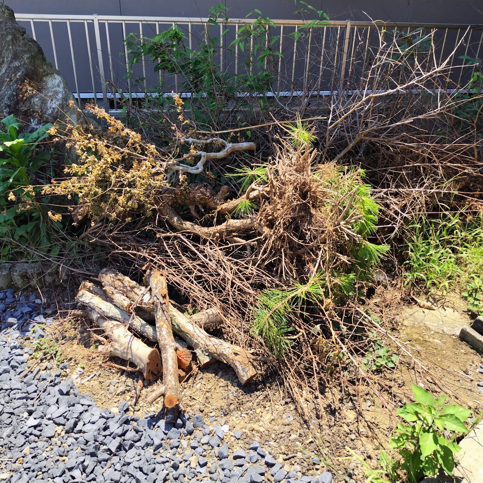 【2025年7月】大洗町で一軒家の片付けとリフォームごみの回収を行いました! 作業写真2