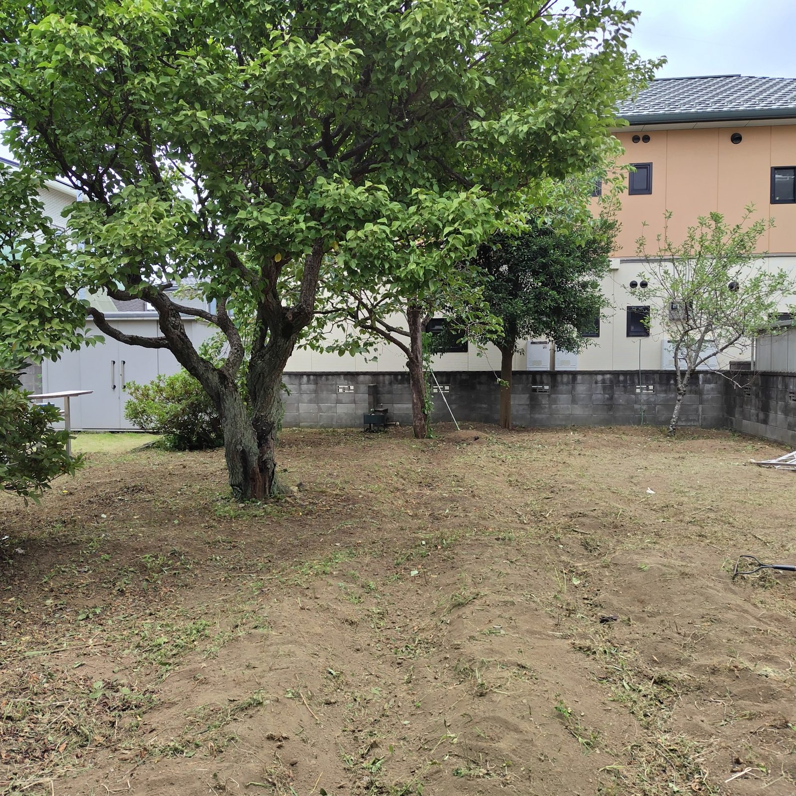 【草刈り事例】ひたちなか市の空き家のお庭をお盆前にスッキリ! 作業写真3