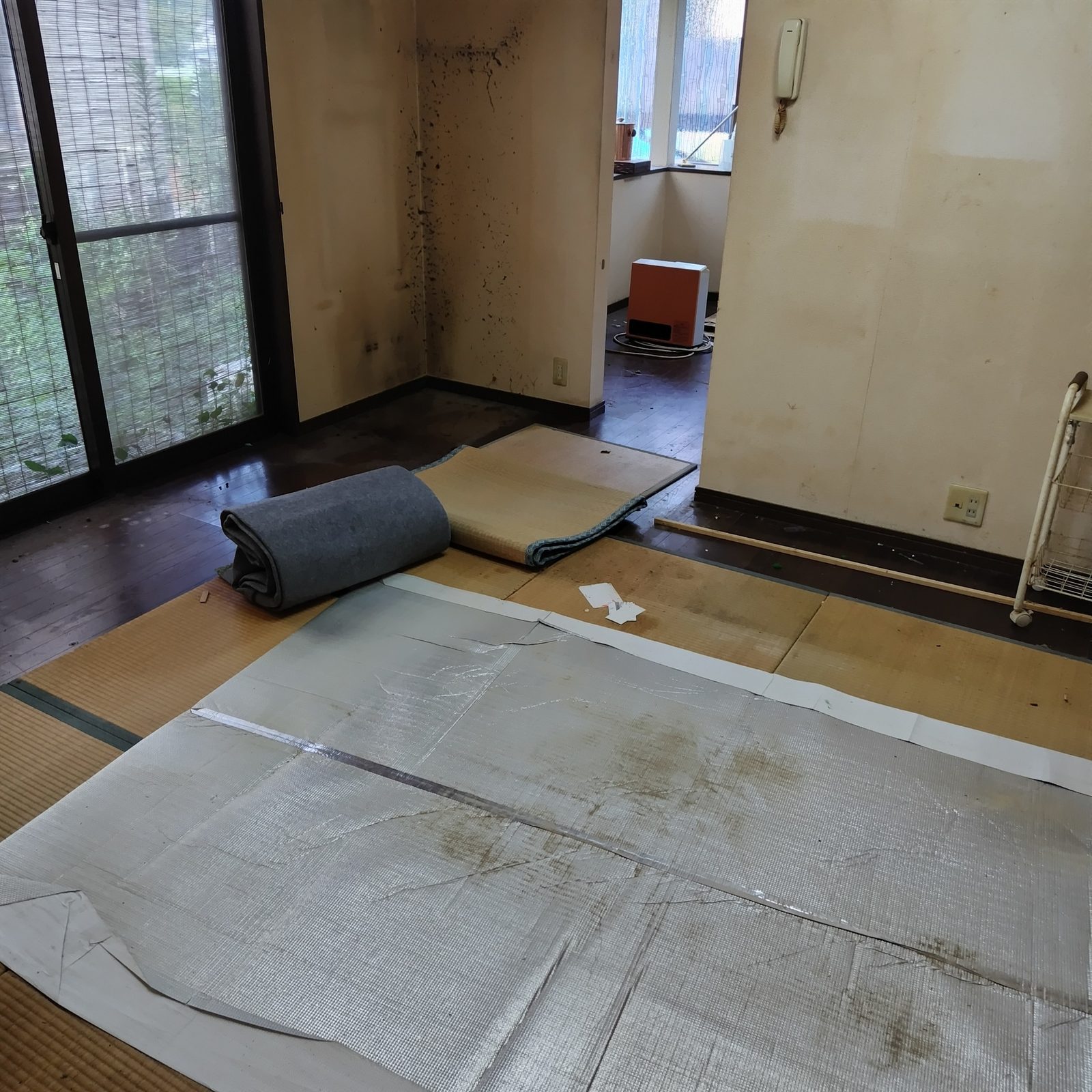 【空き家片付け事例】水戸市/害虫発生の家を3日間でスッキリ清掃&ワックス仕上げ 作業写真3
