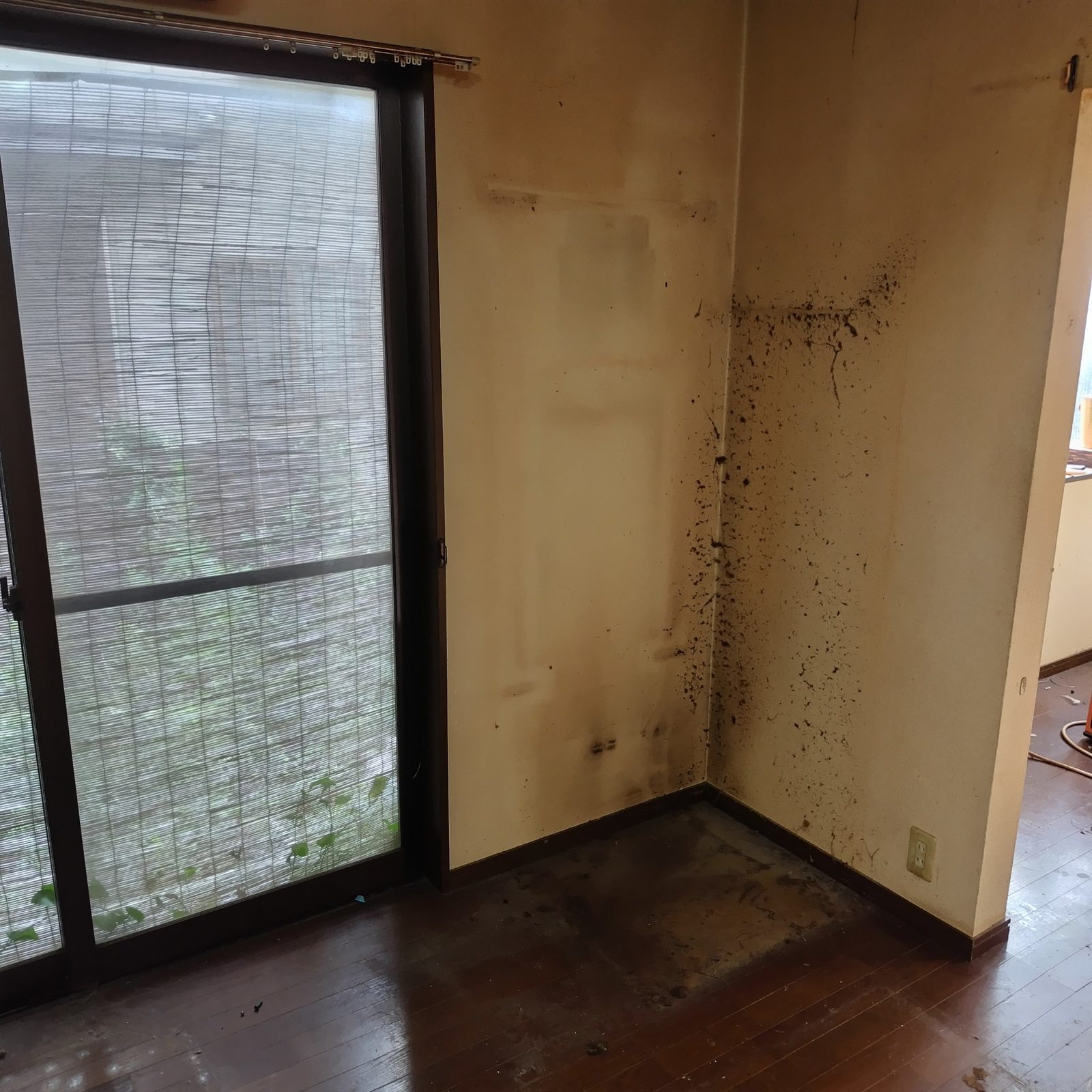 【空き家片付け事例】水戸市/害虫発生の家を3日間でスッキリ清掃&ワックス仕上げ 作業写真5